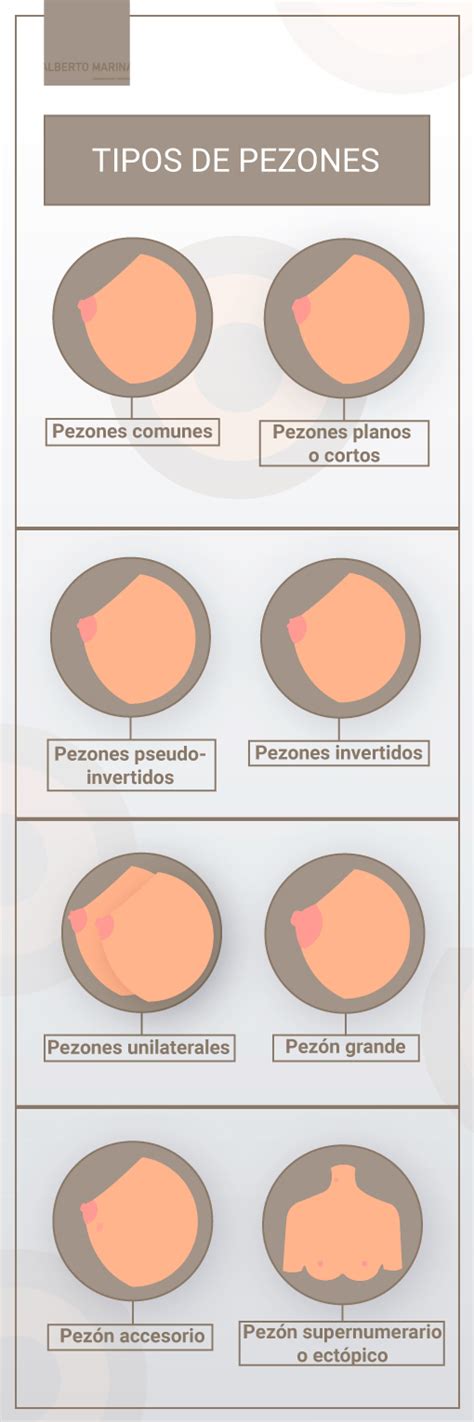 pezones grandes|9 TIPOS de PEZONES y sus características